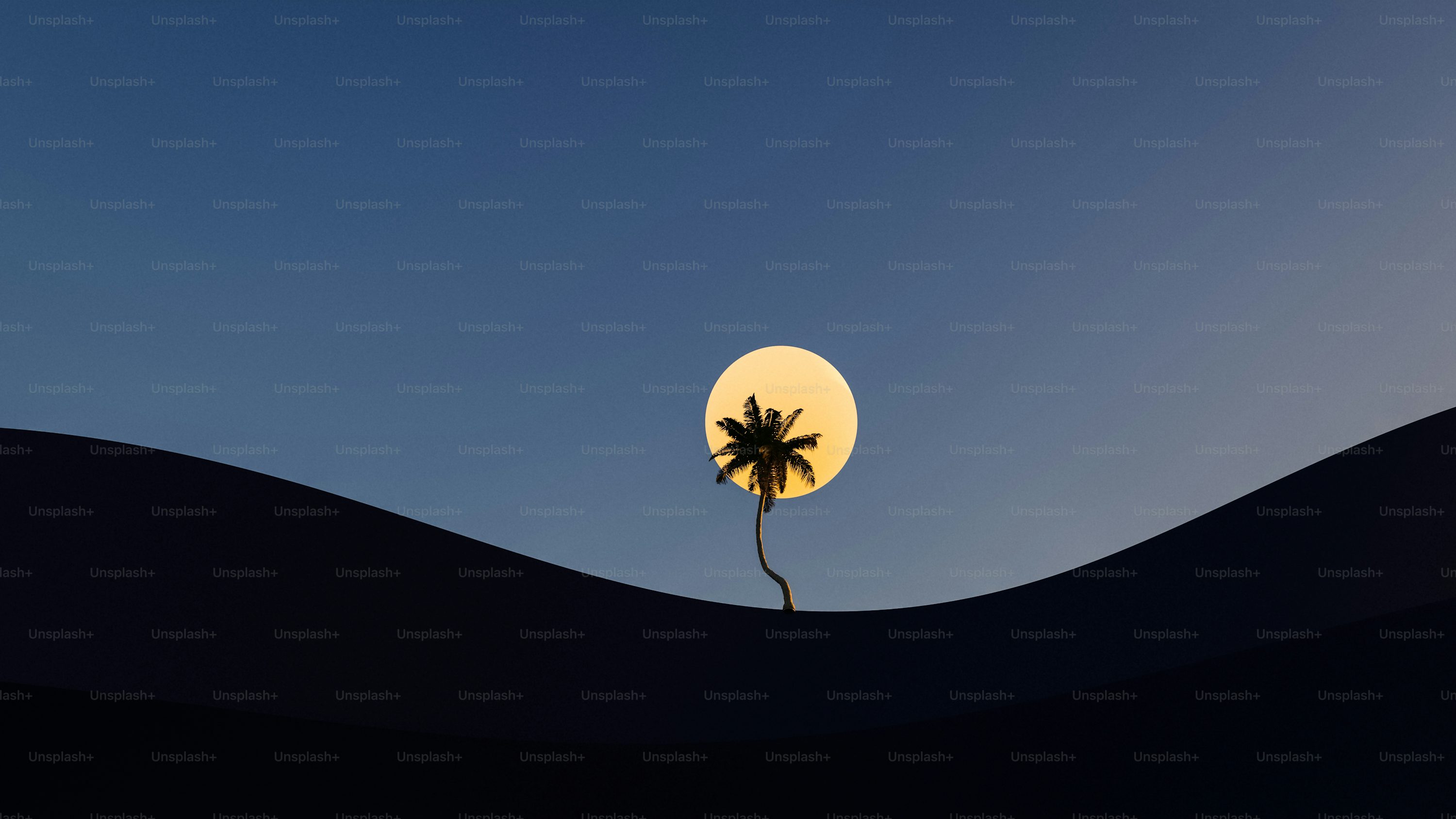 Quibusdam odit totam hbbdh ashuaiua b khqdyuuq dqwihdiuqhwi qwdhuqwuihdiuq