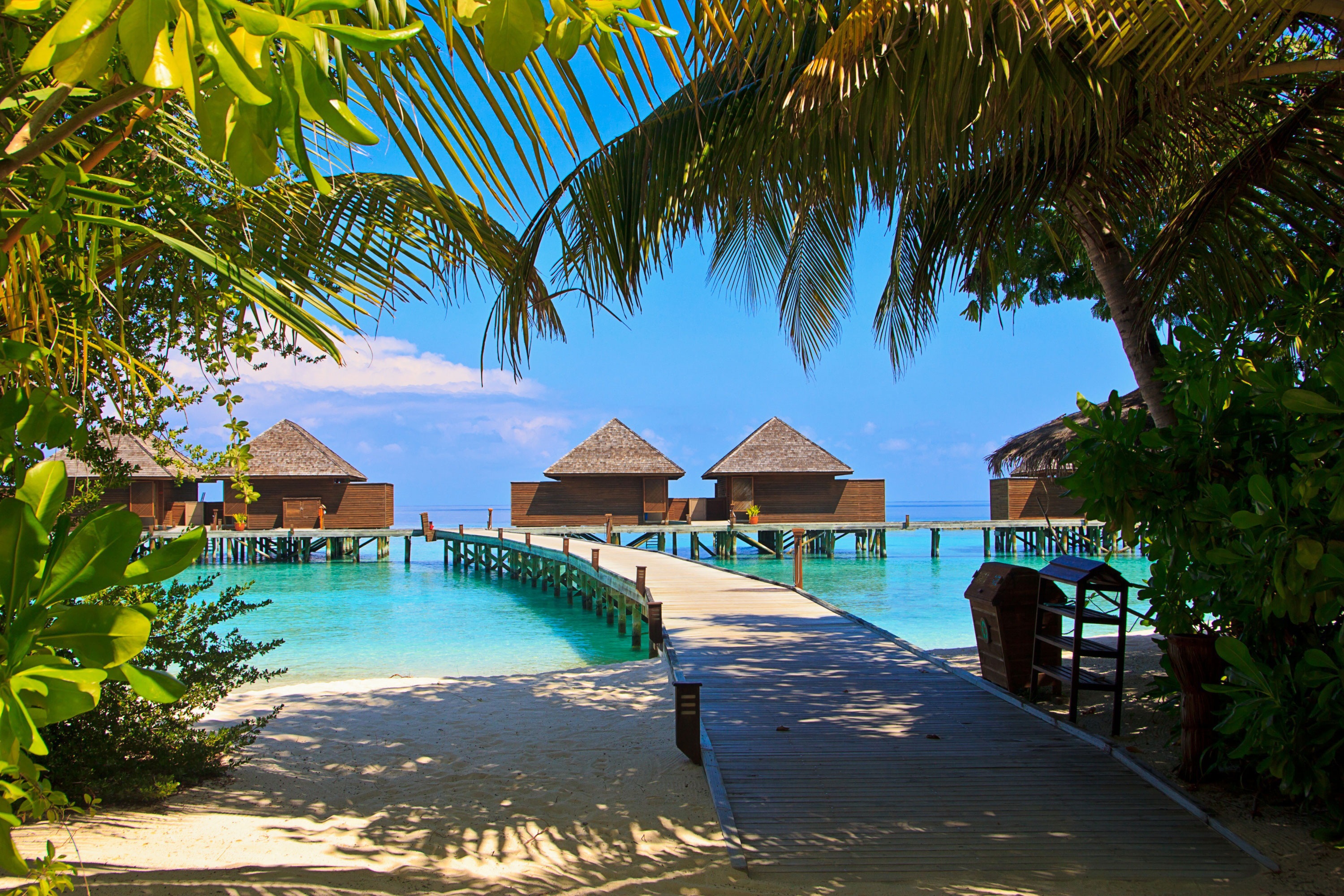 Discover the Maldives: The Ultimate Tropical Paradise for Your Next Vacation